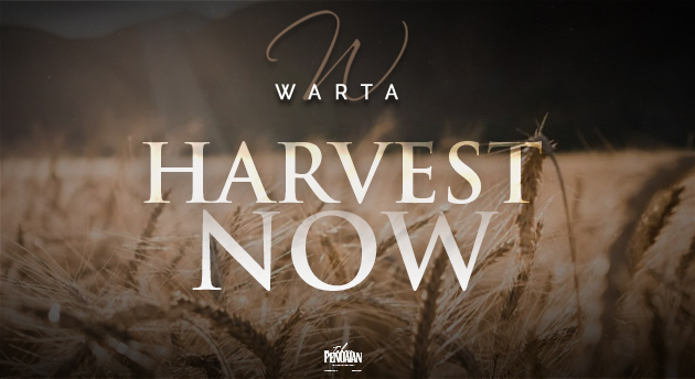 Harvest Now